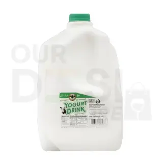 Yogurt Drink Mint Flv: 3.78 L Energy & Soft Drinks, 3.78 L