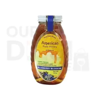 AMERICAN BLUEBERRY  HONEY : 16