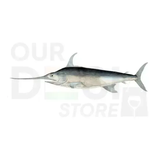Sd Sword Fish Fc: 2lb 2LB at Apna Bazar Xpress, Burlington MA