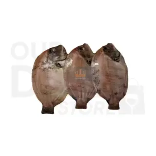 Seafood Delight Pearlspot : 2l Meat & Fish, 2 L