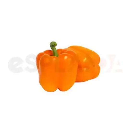 Orange Pepper : One/LB at Apna Bazar Xpress, Burlington MA