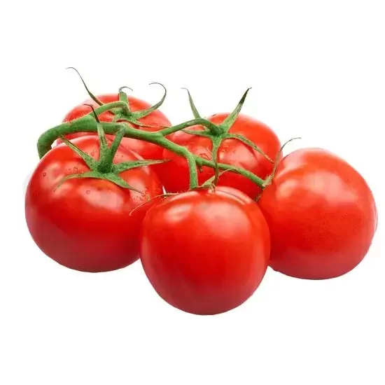 Cluster Tomato : One/LB at Apna Bazar Xpress, Burlington MA