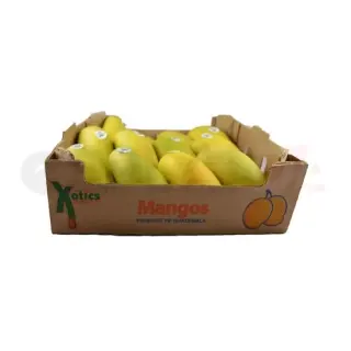 HATIAN MANGO BOX