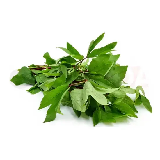 Gongura : Lb at Apna Bazar Xpress, Burlington MA