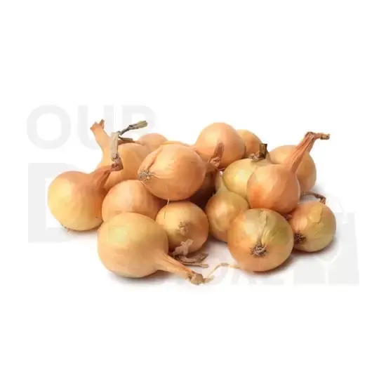 Pearl Onion : One/LB at Apna Bazar Xpress, Burlington MA