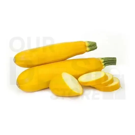 Summer Squash : One/LB at Apna Bazar Xpress, Burlington MA