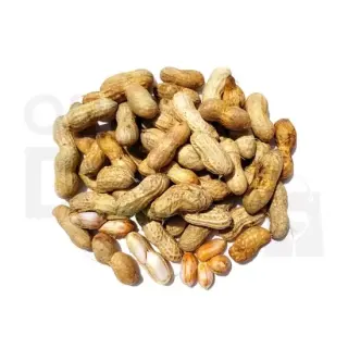 Raw Peanut : One/LB Fruits & Vegetables