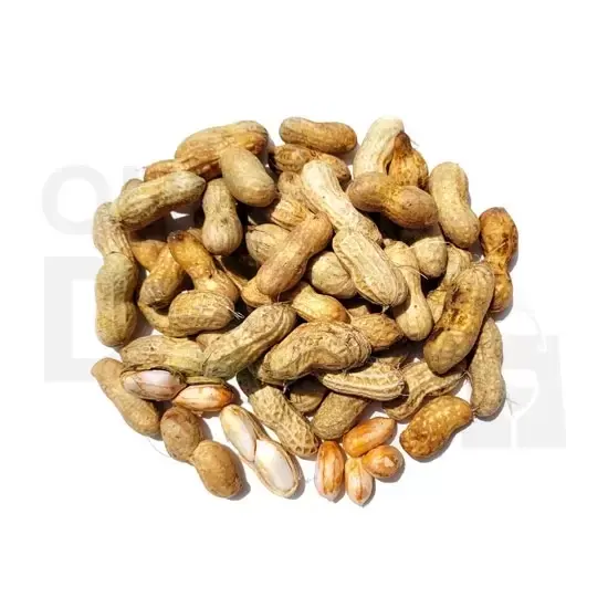Raw Peanut : One/LB at Apna Bazar Xpress, Burlington MA