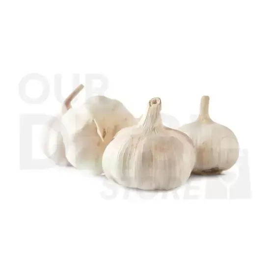 Jumbo Garlic : One/LB at Apna Bazar Xpress, Burlington MA