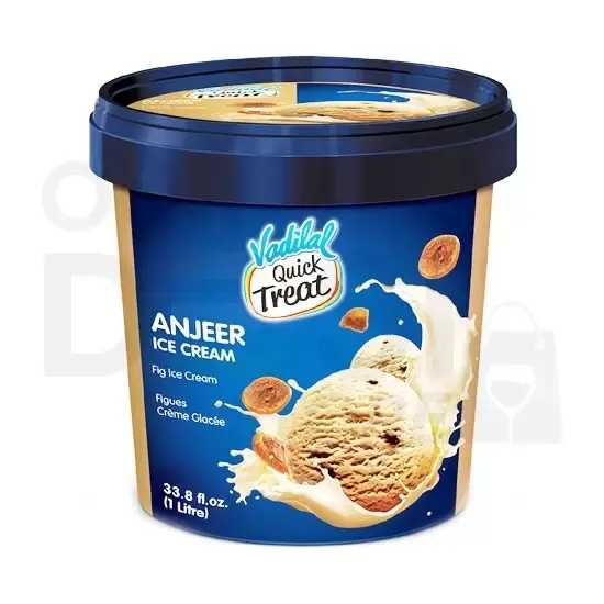 Vadilal Anjeer Ice Cream : 1 L 1 L at Apna Bazar Xpress, Burlington MA