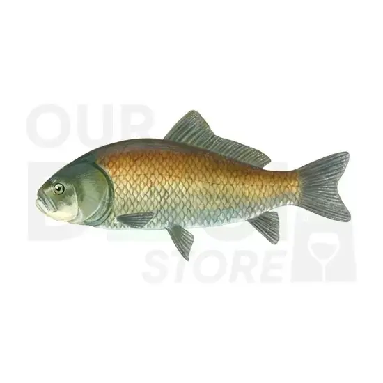 Fish at Apna Bazar Xpress, Burlington MA